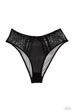 Playful Promises Fallon Midi Brief -Fun Shop FallonBlackLaceandMeshMidiBrief Mayfair Stockings 45