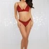 Dreamgirl Underwired Claret Bra And Thong Set -Fun Shop Mayfair Stockings12380 Garnet Front 1