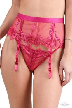 Jolidon Supreme Pink Lace Thong -Fun Shop Mayfair Stockingsd2244 d2244.fux 1j2244 j2244.fux 1 47 1012234d b90e 49e3 b383 ce9db8faa538
