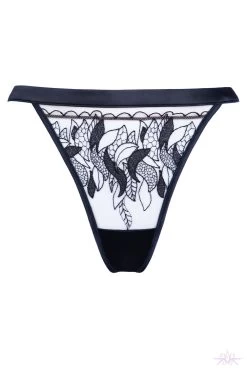 Prelude Milano Rita Tanga -Fun Shop Mayfair Stockingsyd317 yd317.neg 1 29