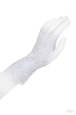 Prelude Marlene Lace Gloves -Fun Shop Mayfair Stockingsyx300 yx300.alb 1 55
